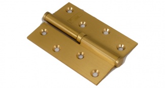 Петля пл. гол HG-1021 4*3*2,5 мм глянц лутунь (правая)  (Китай)