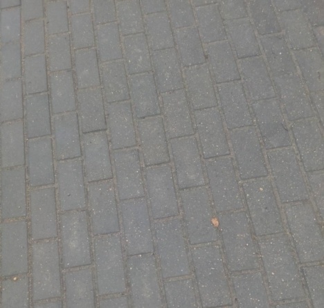 Плитка тротуарная Кирпичик 8 фото 4