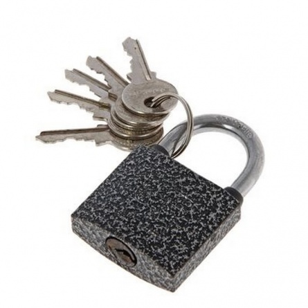 Замок висячий Аллюр ВС1Ч-340 полимер (Китай) фото 1