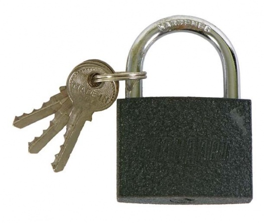 Замок висячий Стандарт NG-340 5.5 мм серый  (Россия) фото 1