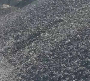 Изображение Гравий